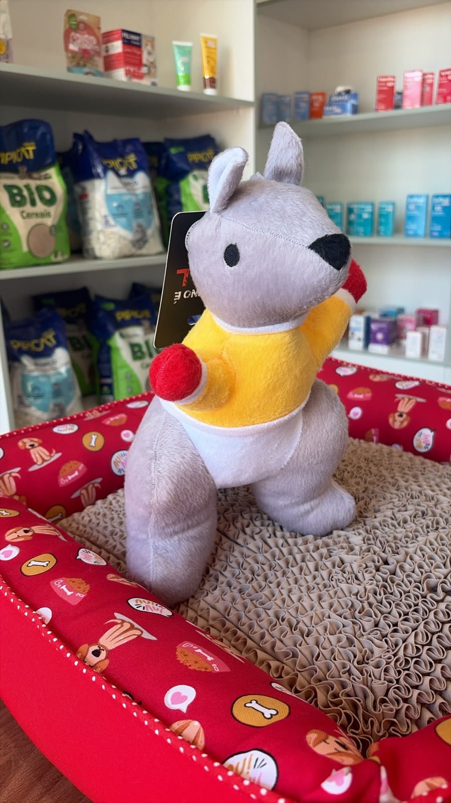 Brinquedo de cachorro